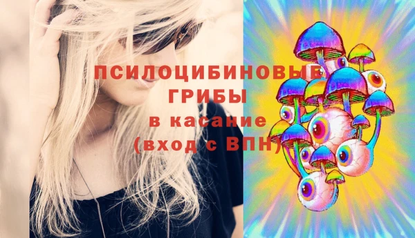 apvp Богородицк