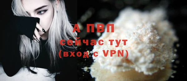 apvp Богородицк