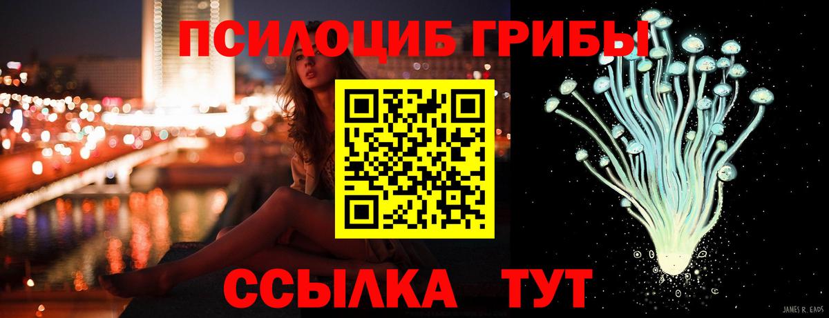 Псилоцибиновые грибы Psilocybe  Галлюциногенные грибы мухоморы  Среднеуральск  Вход с VPN 